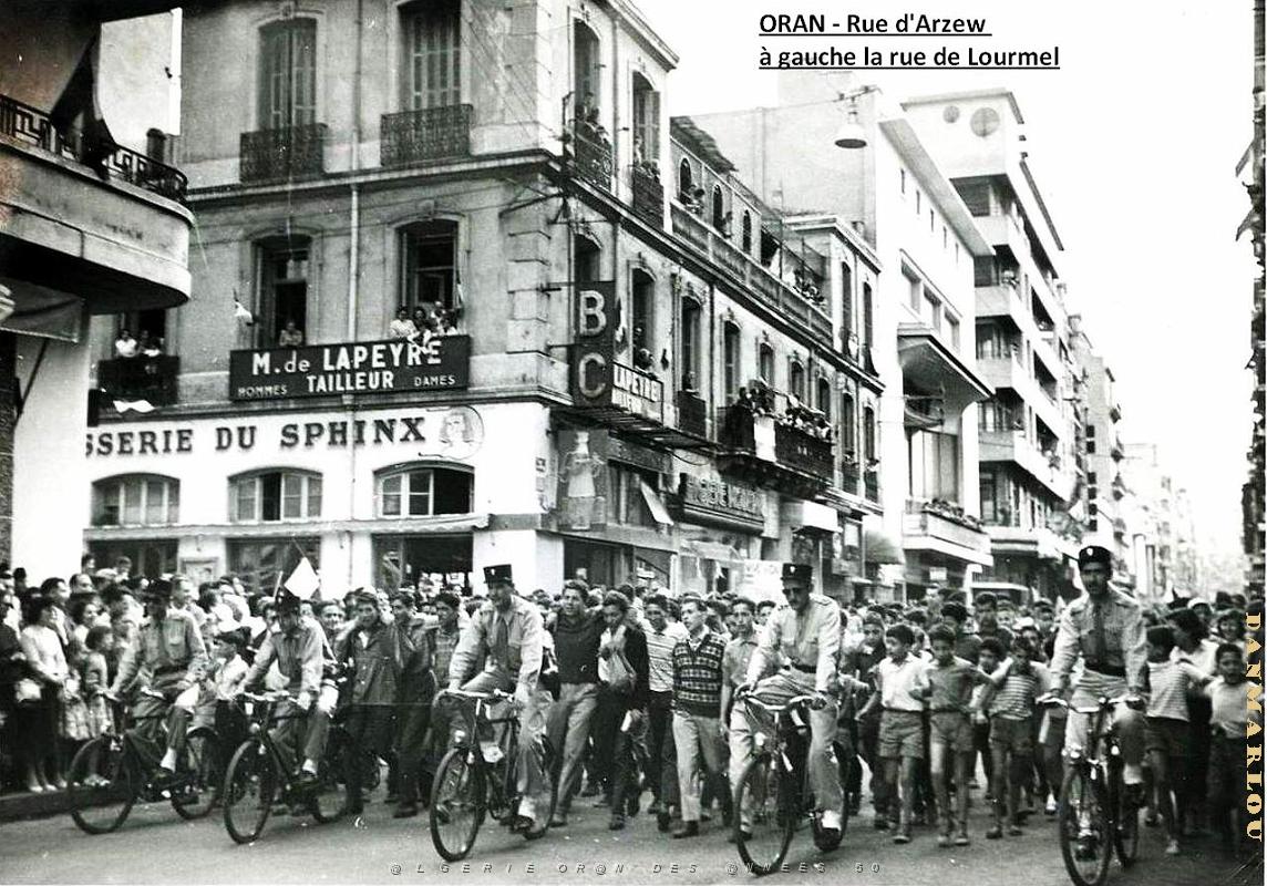 Oran - Rue d' Arzew - Sphinx.jpg